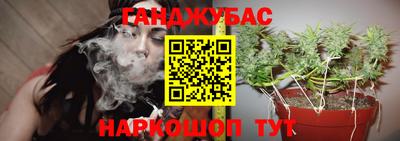 спиды Будённовск