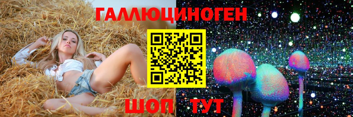 Новоалександровск  где можно купить   Вход с VPN  Псилоцибиновые грибы Magic Shrooms 